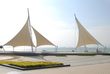 为什么说保护野生动植物,就是保护我们的家园,就是保护我们自己-