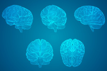 体育精神包括哪三个基本内涵？