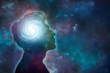 保护动物的宣传标语