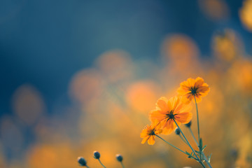 中国国际商务学院