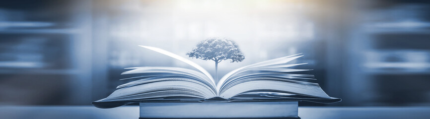 10首绝美古诗七言绝句_1