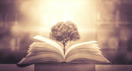 送女朋友礼物排行榜