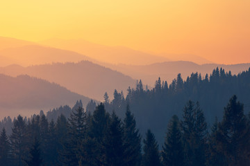 手泡完明矾之后手指指腹变黑了怎么回事啊