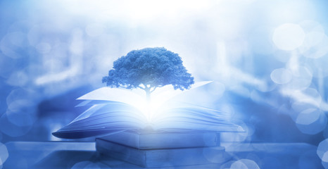 中国国际商务学院