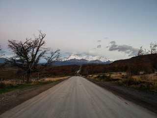 保护动物的宣传标语