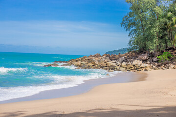 保护动物的宣传标语