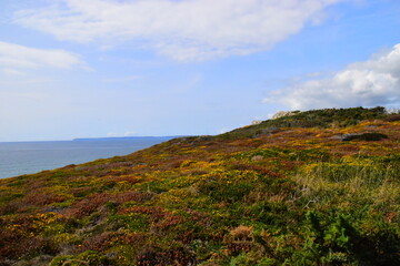 广汽新能源汽车用的什么电池