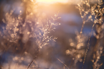 体育精神包括哪三个基本内涵？