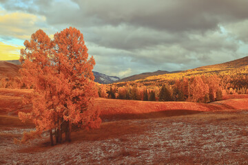 南京好玩的地方排行榜前十名