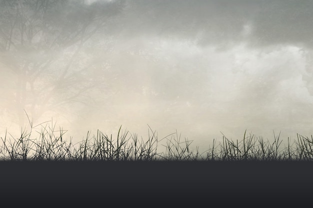 围棋的基本规则和走法是怎么样的？