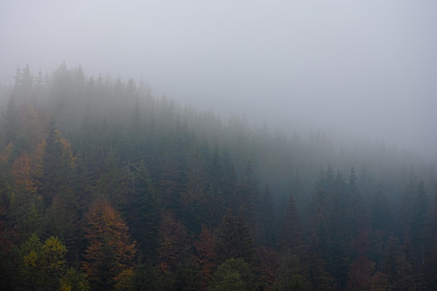 《父与子》的精彩名言名句有哪些？