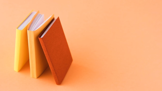 根据马克思主义关于个人与社会关系的原理说明人生的自我价值与社会价值？