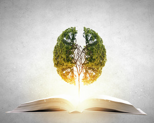 保护动物的宣传标语