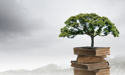 一年级上册数学训练题100道