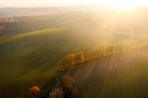体育精神包括哪三个基本内涵？