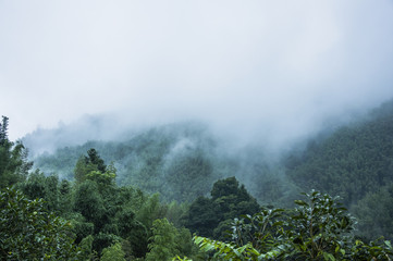#昆明万达广场商业管理有限公司#简历投了 没有回复